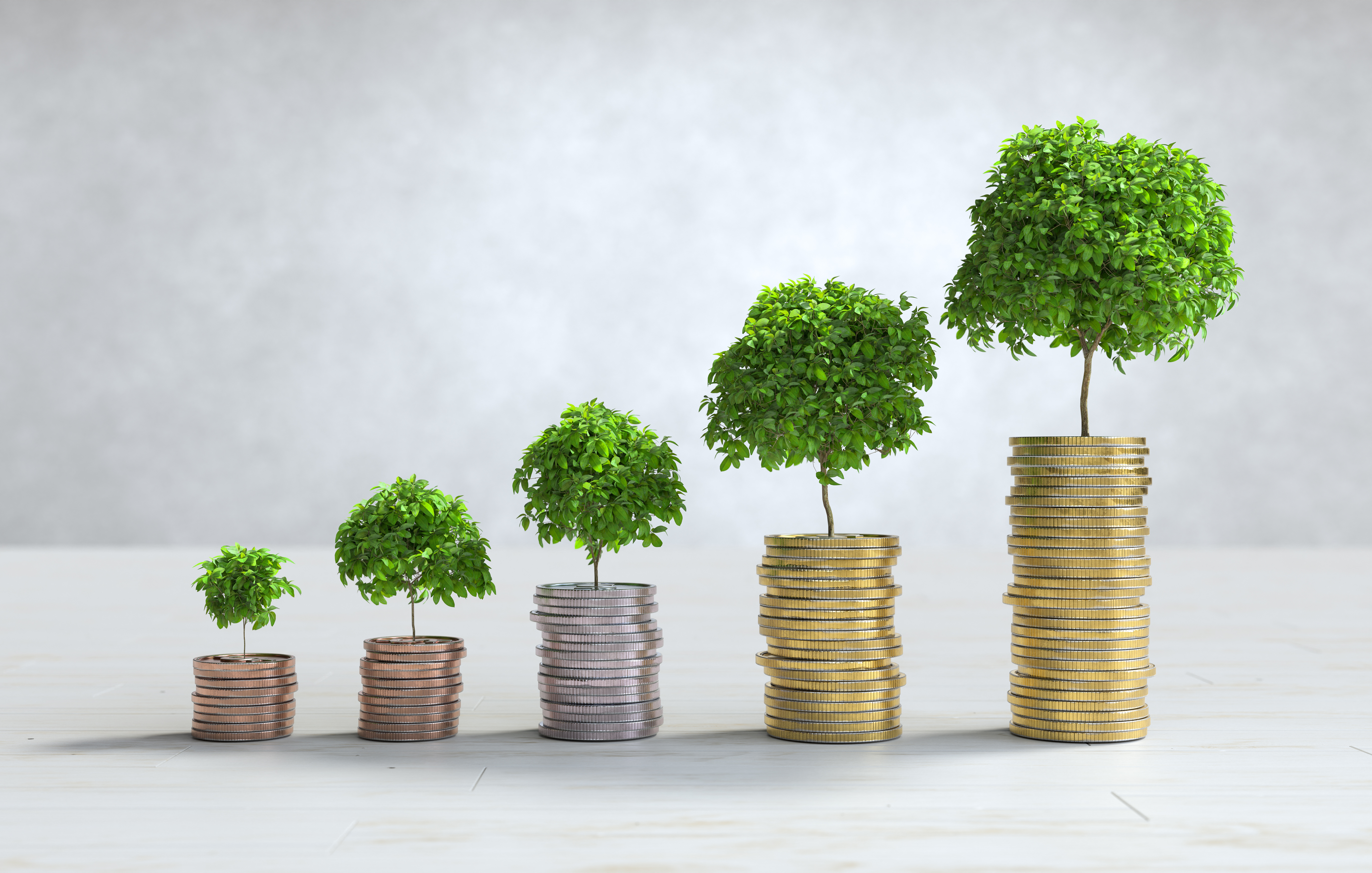Long-term wealth creation
